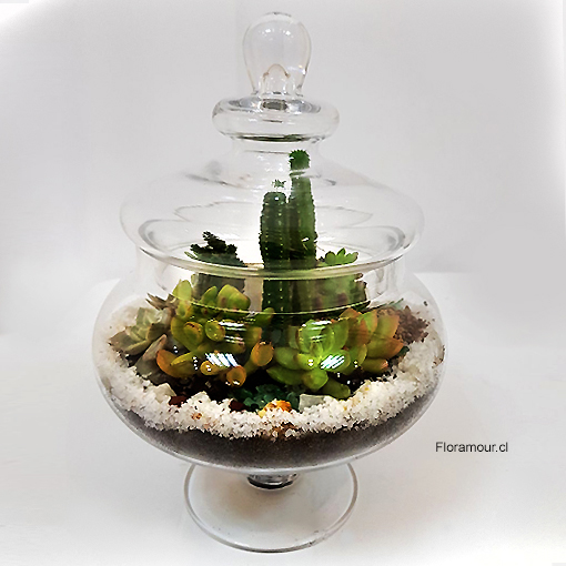 Vidrio cristal exclusivo en forma de algodonera con tapa medidas 30 x 20 cm